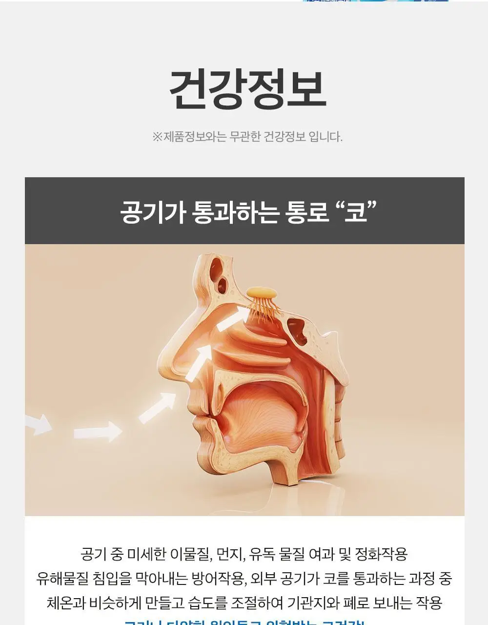 [올영단독/코상태개선] 대원제약 대원헬스 삼백초추출물 코편샷20g x 12포(12일분) 상세페이지 29